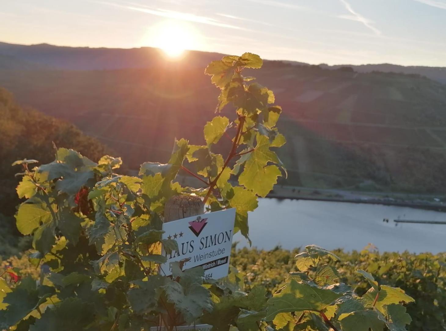 Moselhotel Weinhaus Simon 'Sauna'Restaurant'Eladesaeule Винтрих Екстериор снимка